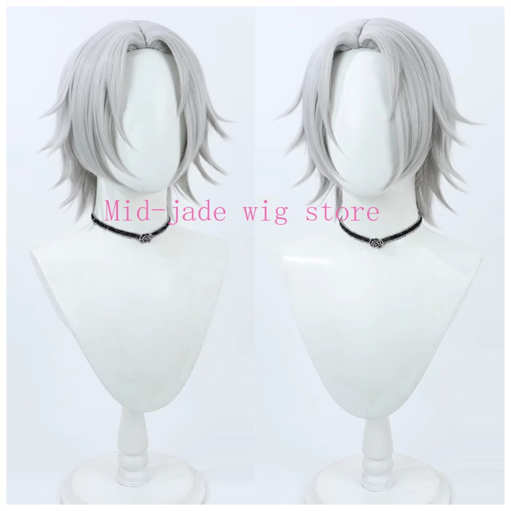 Hayato Gokudera Cosplay Wig Si - огляд і ціна Photography Japanese