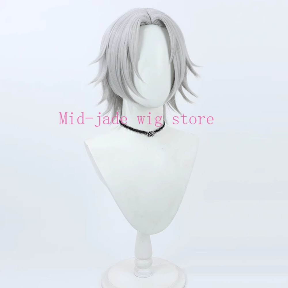 Hayato Gokudera Cosplay Wig Si - огляд і ціна Photography Japanese